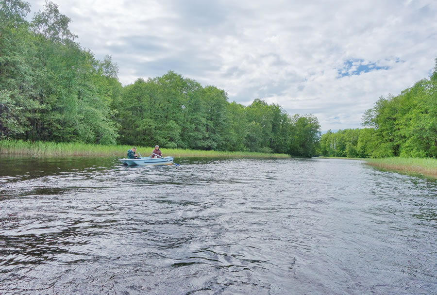 Территория 4